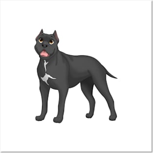 Black Cane Corso Dog (Cropped Ears) Posters and Art